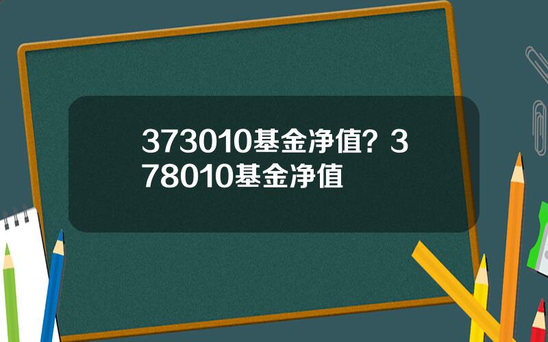 373010基金净值？378010基金净值