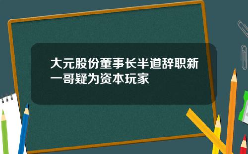 大元股份董事长半道辞职新一哥疑为资本玩家