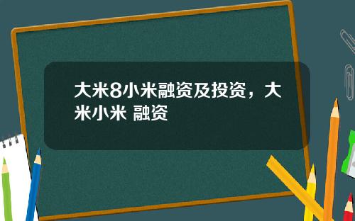 大米8小米融资及投资，大米小米 融资