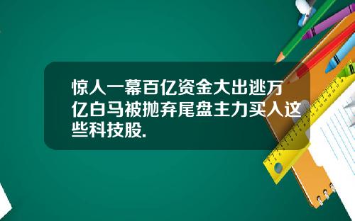 惊人一幕百亿资金大出逃万亿白马被抛弃尾盘主力买入这些科技股.