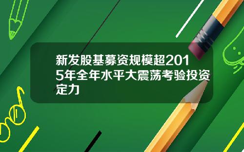 新发股基募资规模超2015年全年水平大震荡考验投资定力