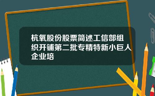 杭氧股份股票简述工信部组织开铺第二批专精特新小巨人企业培