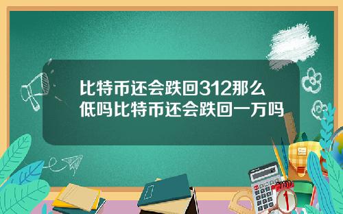 比特币还会跌回312那么低吗比特币还会跌回一万吗