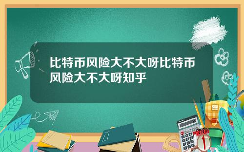 比特币风险大不大呀比特币风险大不大呀知乎