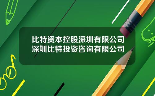 比特资本控股深圳有限公司深圳比特投资咨询有限公司