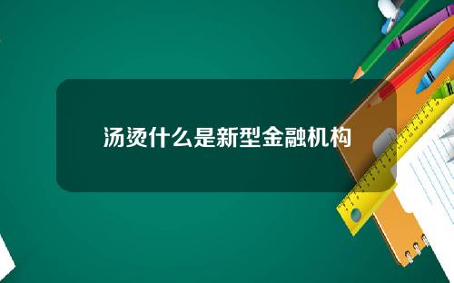 汤烫什么是新型金融机构