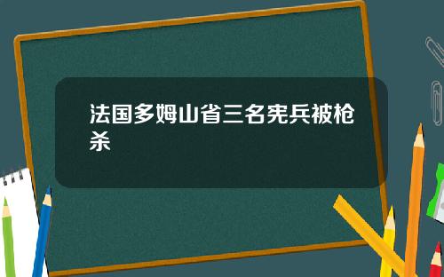 法国多姆山省三名宪兵被枪杀