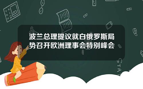 波兰总理提议就白俄罗斯局势召开欧洲理事会特别峰会