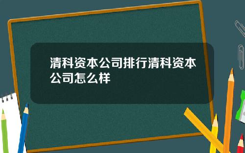 清科资本公司排行清科资本公司怎么样