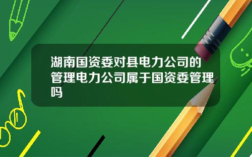 湖南国资委对县电力公司的管理电力公司属于国资委管理吗