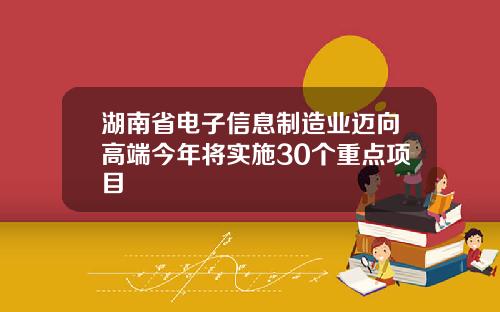 湖南省电子信息制造业迈向高端今年将实施30个重点项目