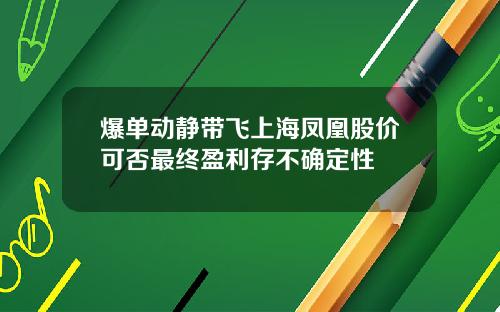 爆单动静带飞上海凤凰股价可否最终盈利存不确定性