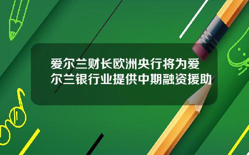 爱尔兰财长欧洲央行将为爱尔兰银行业提供中期融资援助