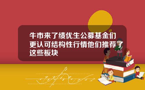 牛市来了绩优生公募基金们更认可结构性行情他们推荐了这些板块