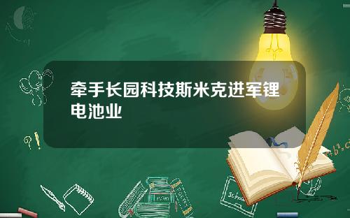 牵手长园科技斯米克进军锂电池业