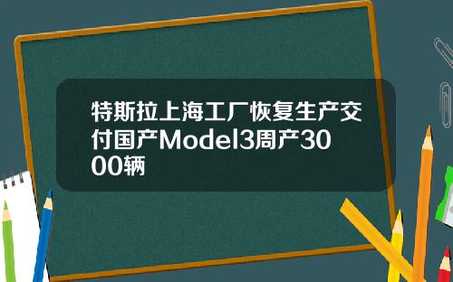 特斯拉上海工厂恢复生产交付国产Model3周产3000辆