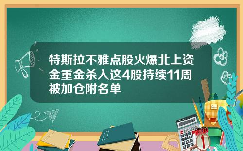 特斯拉不雅点股火爆北上资金重金杀入这4股持续11周被加仓附名单