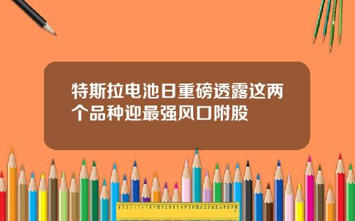 特斯拉电池日重磅透露这两个品种迎最强风口附股