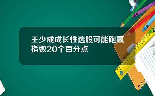 王少成成长性选股可能跑赢指数20个百分点