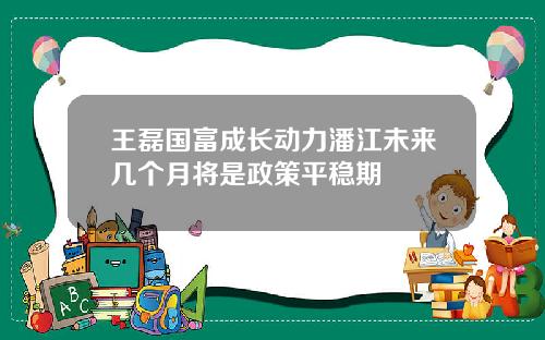 王磊国富成长动力潘江未来几个月将是政策平稳期