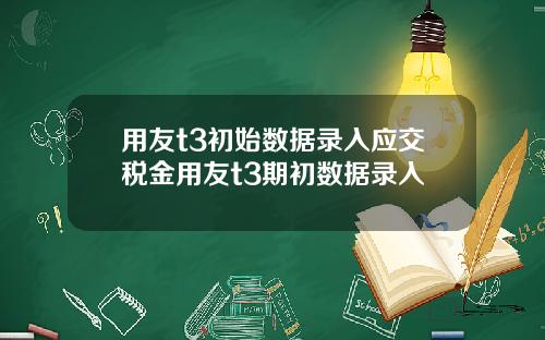 用友t3初始数据录入应交税金用友t3期初数据录入