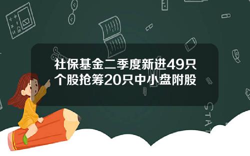 社保基金二季度新进49只个股抢筹20只中小盘附股