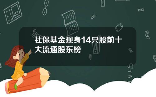 社保基金现身14只股前十大流通股东榜