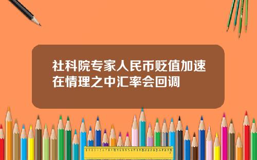 社科院专家人民币贬值加速在情理之中汇率会回调