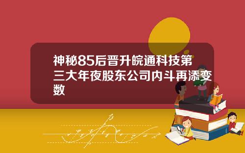 神秘85后晋升皖通科技第三大年夜股东公司内斗再添变数