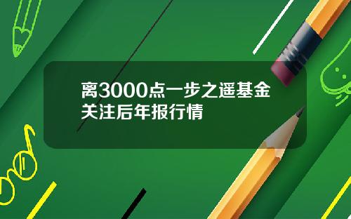 离3000点一步之遥基金关注后年报行情