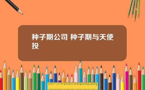 种子期公司 种子期与天使投