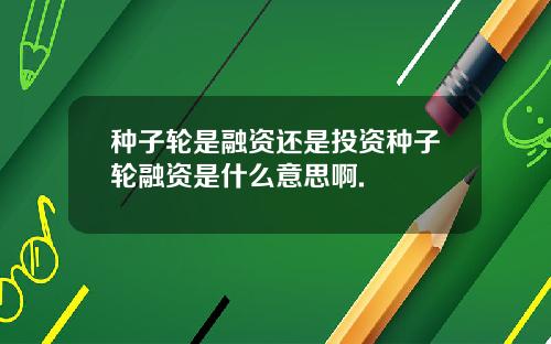 种子轮是融资还是投资种子轮融资是什么意思啊.