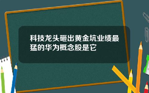 科技龙头砸出黄金坑业绩最猛的华为概念股是它