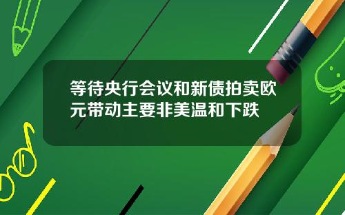 等待央行会议和新债拍卖欧元带动主要非美温和下跌