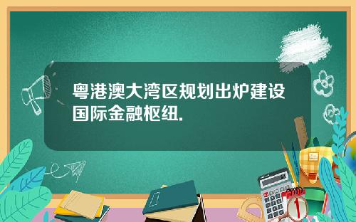 粤港澳大湾区规划出炉建设国际金融枢纽.