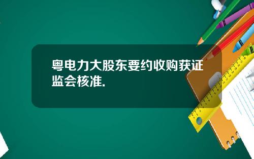 粤电力大股东要约收购获证监会核准.