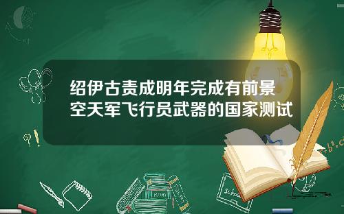 绍伊古责成明年完成有前景空天军飞行员武器的国家测试