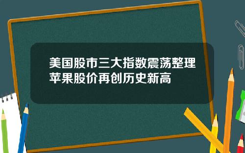 美国股市三大指数震荡整理苹果股价再创历史新高