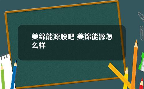 美绵能源股吧 美锦能源怎么样