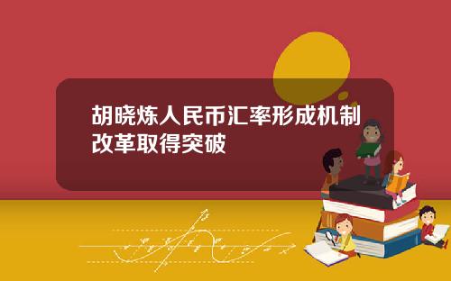 胡晓炼人民币汇率形成机制改革取得突破