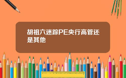 胡祖六迷踪PE央行高管还是其他