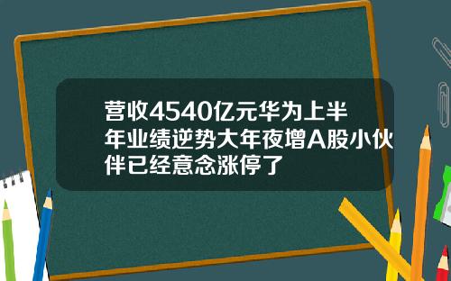 营收4540亿元华为上半年业绩逆势大年夜增A股小伙伴已经意念涨停了