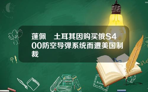 蓬佩奧土耳其因购买俄S400防空导弹系统而遭美国制裁