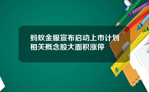 蚂蚁金服宣布启动上市计划相关概念股大面积涨停