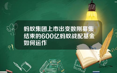 蚂蚁集团上市出变数刚募集结束的600亿蚂蚁战配基金如何运作