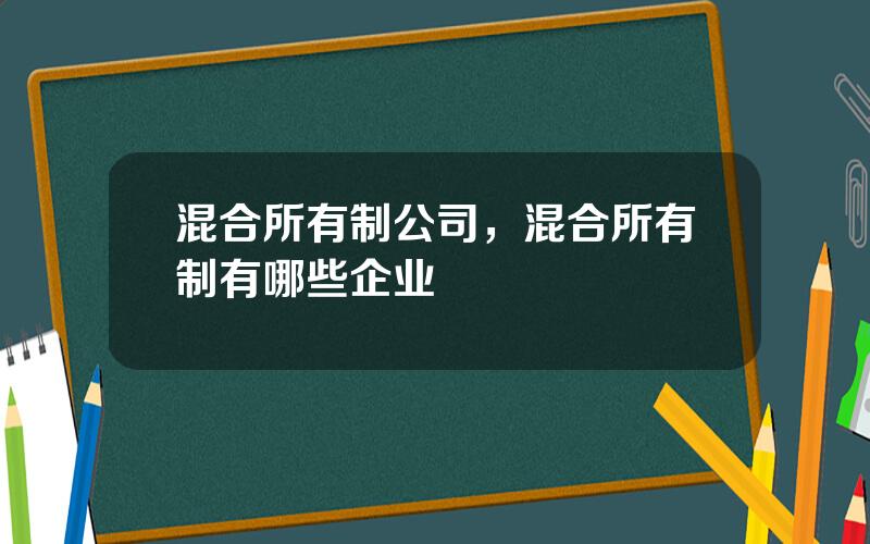 混合所有制公司，混合所有制有哪些企业