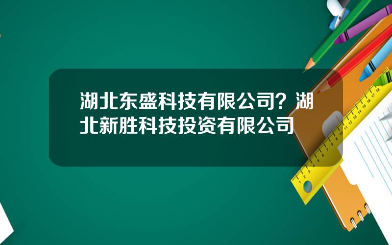 湖北东盛科技有限公司？湖北新胜科技投资有限公司