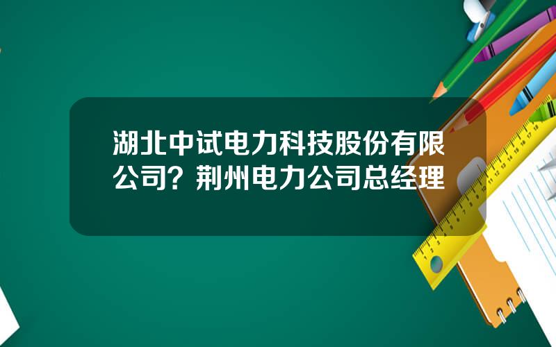 湖北中试电力科技股份有限公司？荆州电力公司总经理