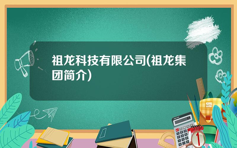 祖龙科技有限公司(祖龙集团简介)