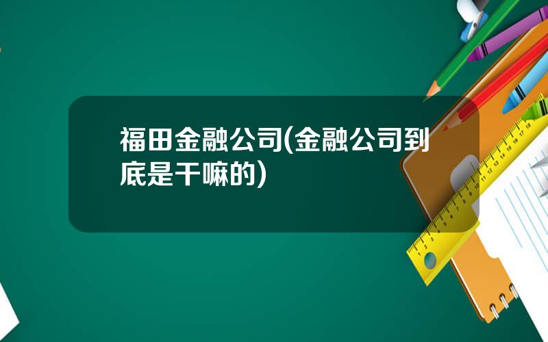 福田金融公司(金融公司到底是干嘛的)